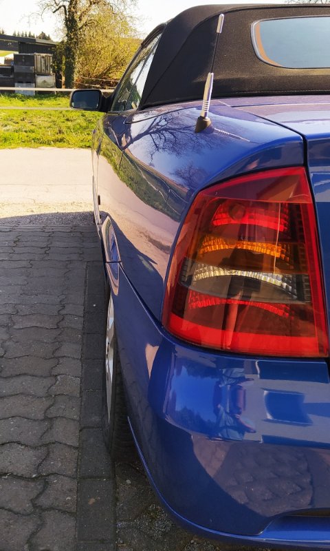 TK_GCab6.jpg